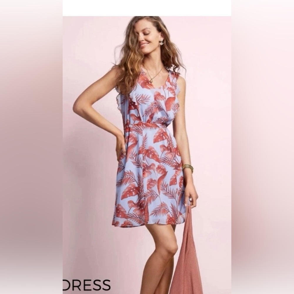 EUC CAbi Isabel dress